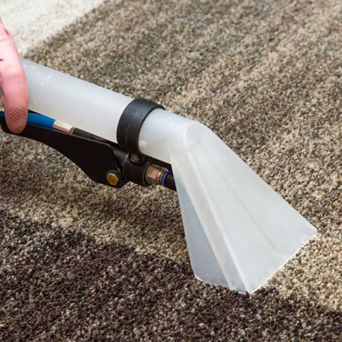 Carpet care | Corvin's Furniture & Flooring