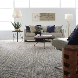 Carpet in a modern living room | Corvin’s Flooring